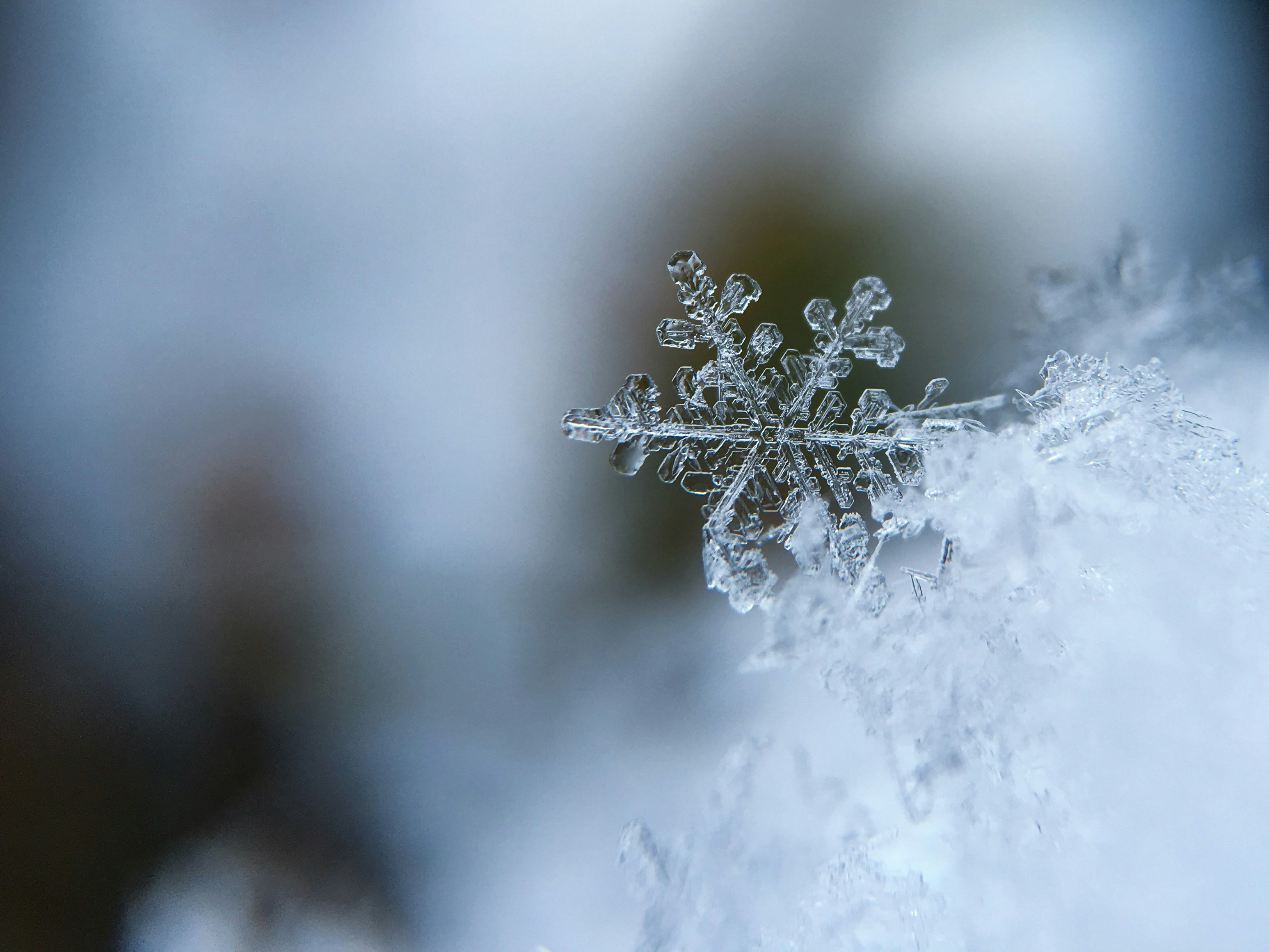 Macro photo of a single snowflake, every branch of it one of a kind